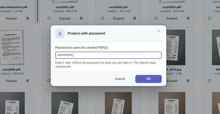 Elegant Paper Protect with password dialog, with the field filled in and the note saying the original stays unprotected