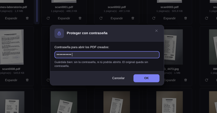 Diálogo Proteger con contraseña de Elegant Paper, con el campo relleno y el aviso de que el original sigue sin contraseña