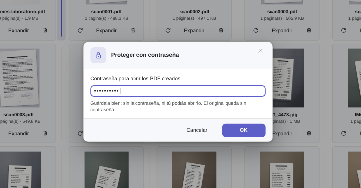 Diálogo Proteger con contraseña de Elegant Paper, con el campo relleno y el aviso de que el original sigue sin contraseña