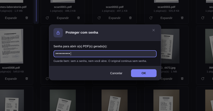 Diálogo Proteger com senha do Elegant Paper, com o campo preenchido e o aviso de que o original continua sem senha