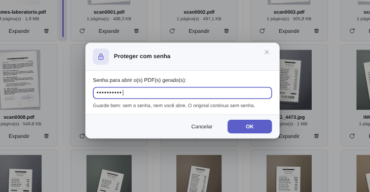 Diálogo Proteger com senha do Elegant Paper, com o campo preenchido e o aviso de que o original continua sem senha